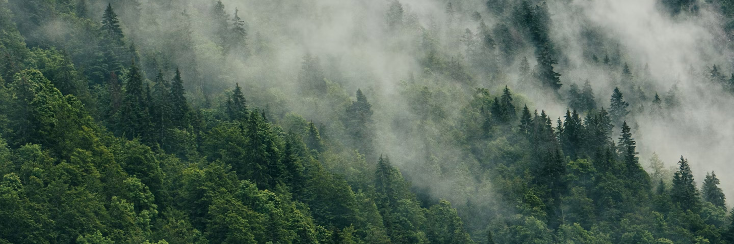 2節(jié)能減排 踐行綠色生產.jpg