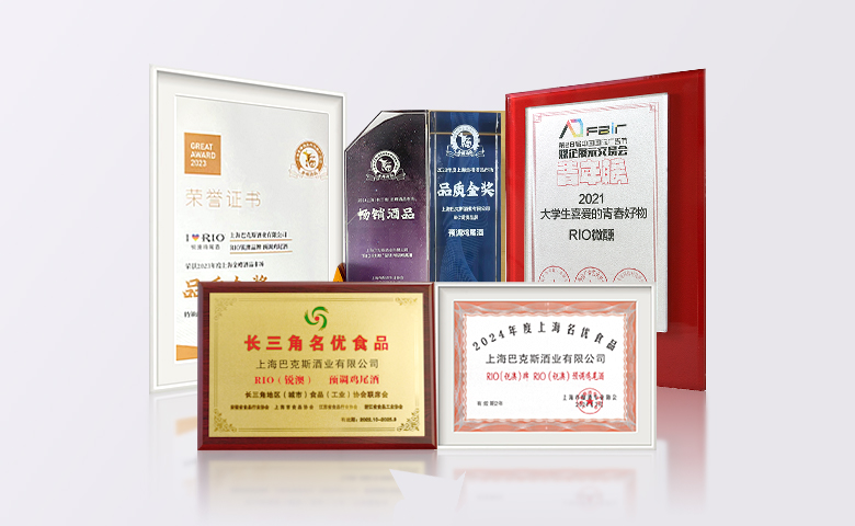 2品牌榮譽(yù).jpg